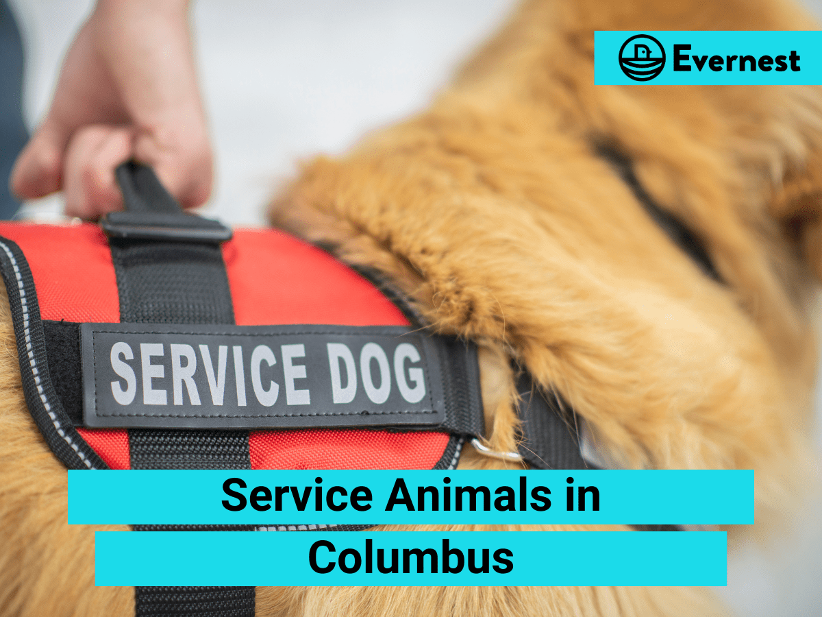 Service Animals: Everything Landlords Need to Know in Columbus, Ohio